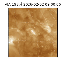 saia - 2026-02-02T09:00:06.421000