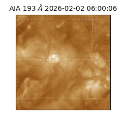 saia - 2026-02-02T06:00:06.624000