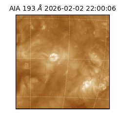 saia - 2026-02-02T22:00:06.187000