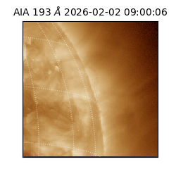 saia - 2026-02-02T09:00:06.421000