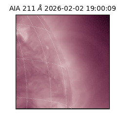 saia - 2026-02-02T19:00:09.626000