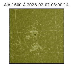 saia - 2026-02-02T03:00:14.125000