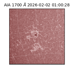 saia - 2026-02-02T01:00:28.717000