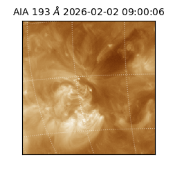 saia - 2026-02-02T09:00:06.421000