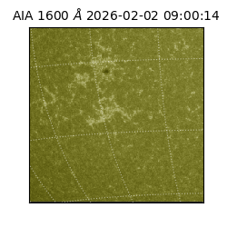 saia - 2026-02-02T09:00:14.129000