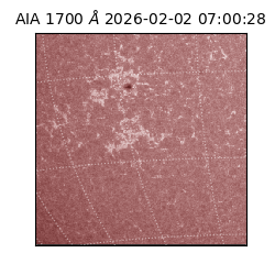 saia - 2026-02-02T07:00:28.717000