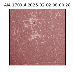 saia - 2026-02-02T08:00:28.717000