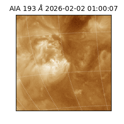 saia - 2026-02-02T01:00:07.347000