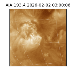 saia - 2026-02-02T03:00:06.711000