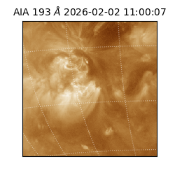 saia - 2026-02-02T11:00:07.129000