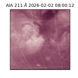 saia - 2026-02-02T08:00:12.445000