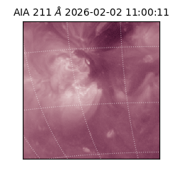 saia - 2026-02-02T11:00:11.218000