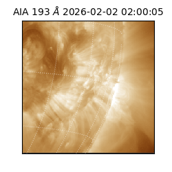 saia - 2026-02-02T02:00:05.337000