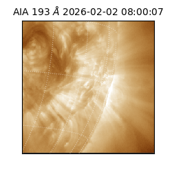 saia - 2026-02-02T08:00:07.108000