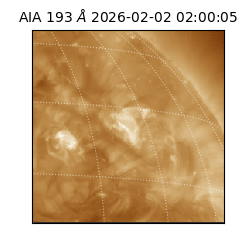 saia - 2026-02-02T02:00:05.337000