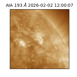 saia - 2026-02-02T12:00:07.083000