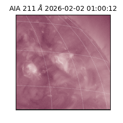 saia - 2026-02-02T01:00:12.641000