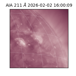 saia - 2026-02-02T16:00:09.626000