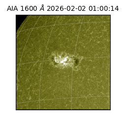 saia - 2026-02-02T01:00:14.122000