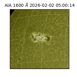 saia - 2026-02-02T05:00:14.126000