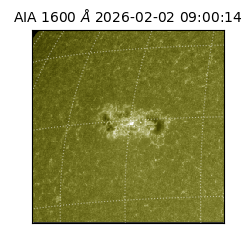 saia - 2026-02-02T09:00:14.129000