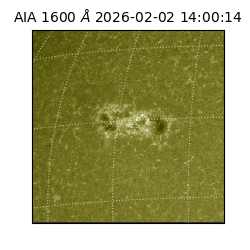 saia - 2026-02-02T14:00:14.126000