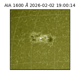 saia - 2026-02-02T19:00:14.132000