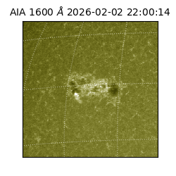 saia - 2026-02-02T22:00:14.126000