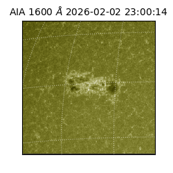 saia - 2026-02-02T23:00:14.126000