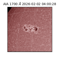 saia - 2026-02-02T04:00:28.717000