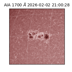 saia - 2026-02-02T21:00:28.717000