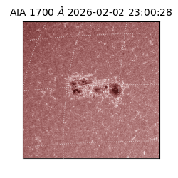 saia - 2026-02-02T23:00:28.718000