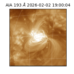 saia - 2026-02-02T19:00:04.843000