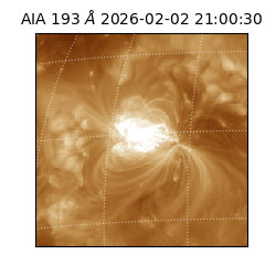 saia - 2026-02-02T21:00:30.647000