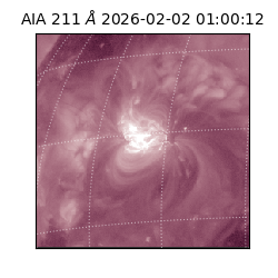 saia - 2026-02-02T01:00:12.641000