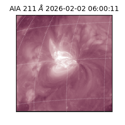 saia - 2026-02-02T06:00:11.618000