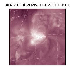 saia - 2026-02-02T11:00:11.218000