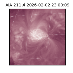 saia - 2026-02-02T23:00:09.631000