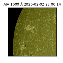 saia - 2026-02-02T23:00:14.126000