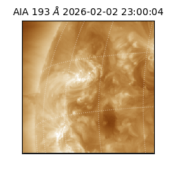 saia - 2026-02-02T23:00:04.843000