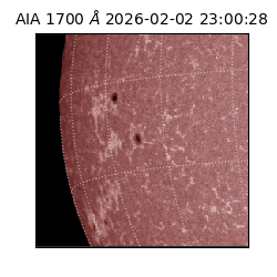 saia - 2026-02-02T23:00:28.718000