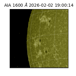 saia - 2026-02-02T19:00:14.132000