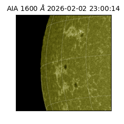 saia - 2026-02-02T23:00:14.126000