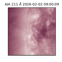 saia - 2026-02-02T09:00:09.624000