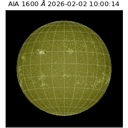 saia - 2026-02-02T10:00:14.126000