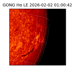 gong - 2026-02-02T01:00:42
