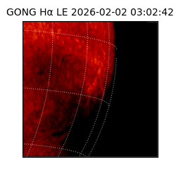 gong - 2026-02-02T03:02:42