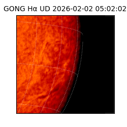 gong - 2026-02-02T05:02:02
