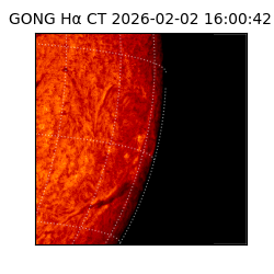 gong - 2026-02-02T16:00:42
