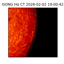 gong - 2026-02-02T19:00:42